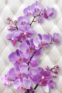 Фотообои 3D Ветви орхидеи на белом фоне